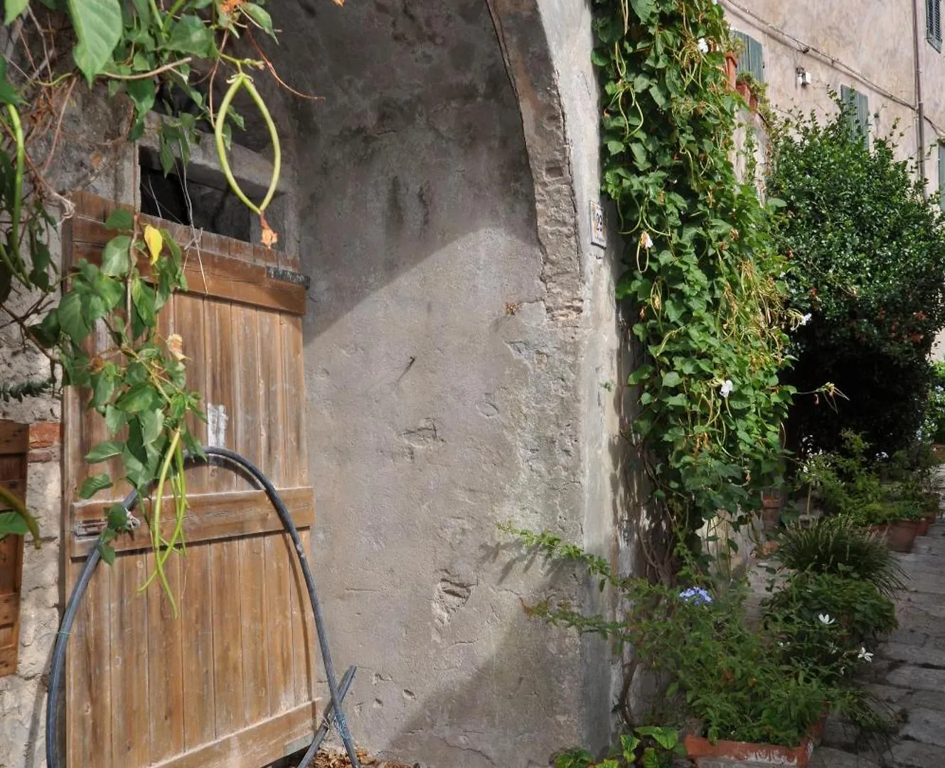公寓 Vespa Mini-House In Elba 马尔恰纳 意大利